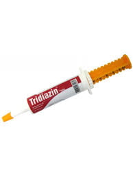 Tridiazin Pasta 30g - Vansil