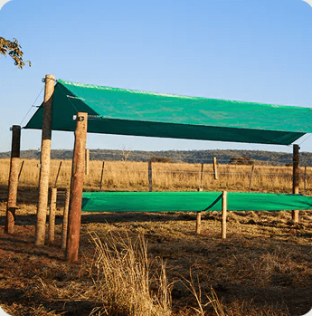 Tendabag Cobertura 3,80x6,00m Rafina 220g - Cochobag