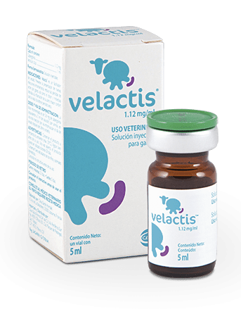 Velactis 5ml - Ceva