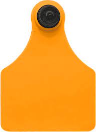 Brinco Maxx Liso Laranja C/25 - Allflex