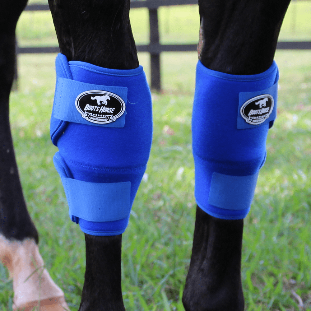 Kit Joelheira Color Azul Royal - Boots Horse