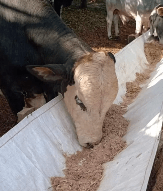 Cochobag 5m Tecido 220g C/laminação Branco 85/30 - Cochobag