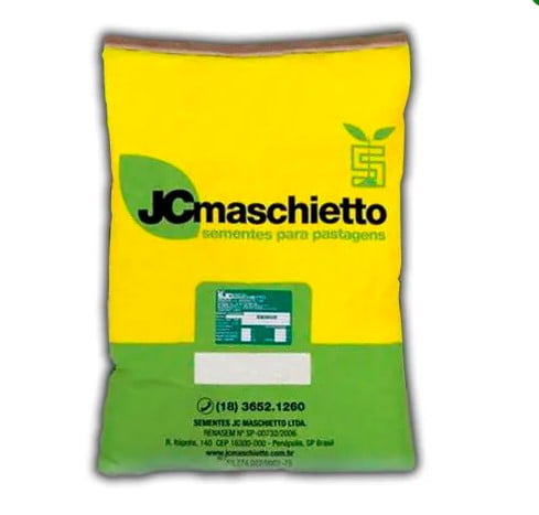 Brachiaria Decumbens Cv Basilisk - Jc Maschietto