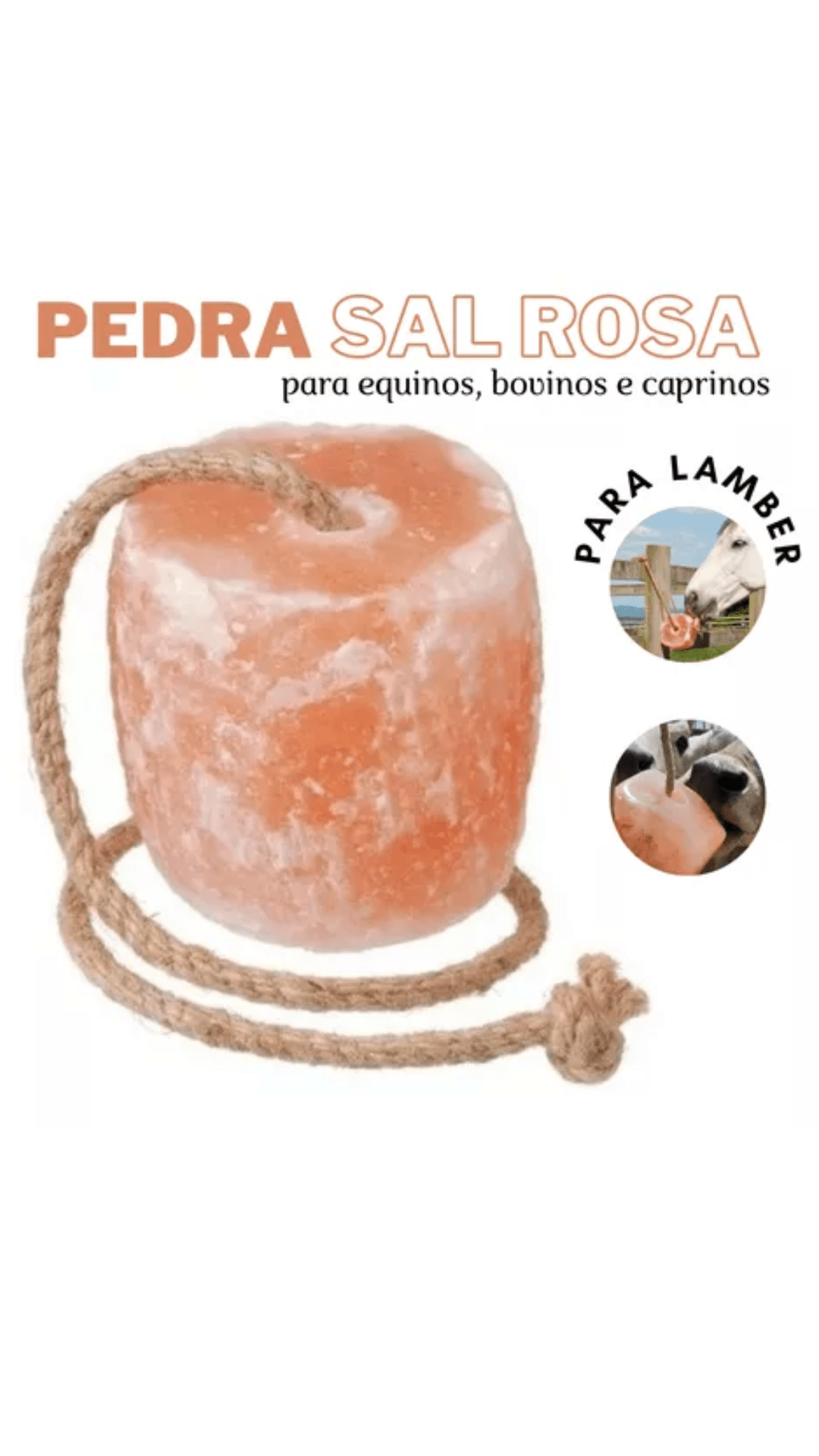 Bloco De Sal Rosa Do Himalaia 2.9kg - Agrozootec