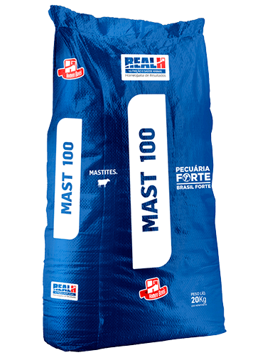 Mast 100 20kg - Realh