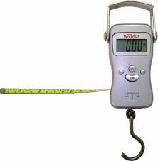 Balança Eletrônica Portátil 50kg - Walmur