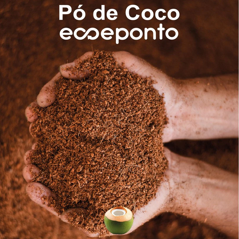 PÓ DE COCO LAVADO 6L RAÍZES E FRUTOS FORTES