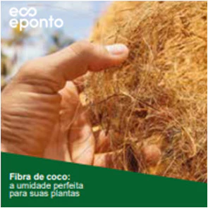 FIBRA LONGA 6L - DO JARDIM AO ARTESANATO