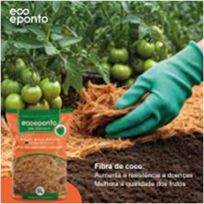 FIBRA LONGA 6L - DO JARDIM AO ARTESANATO