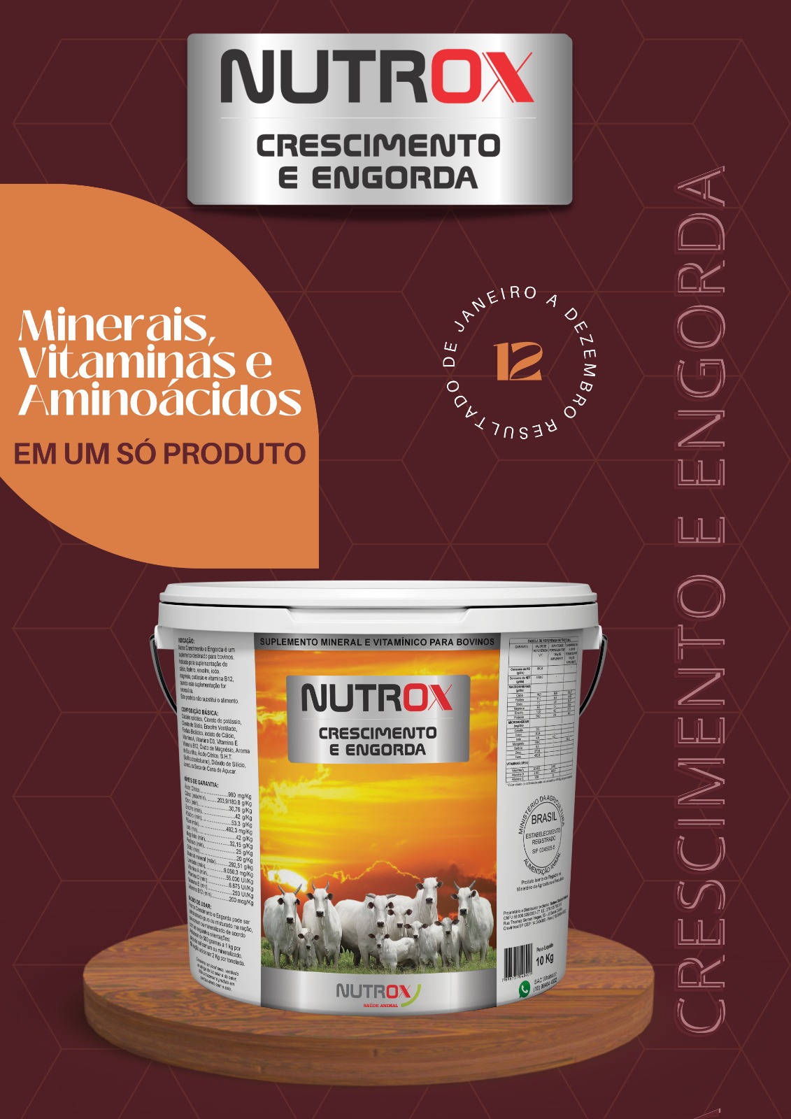 Suplemento Nutrox Crescimento e Engorda para Bovinos de Corte
