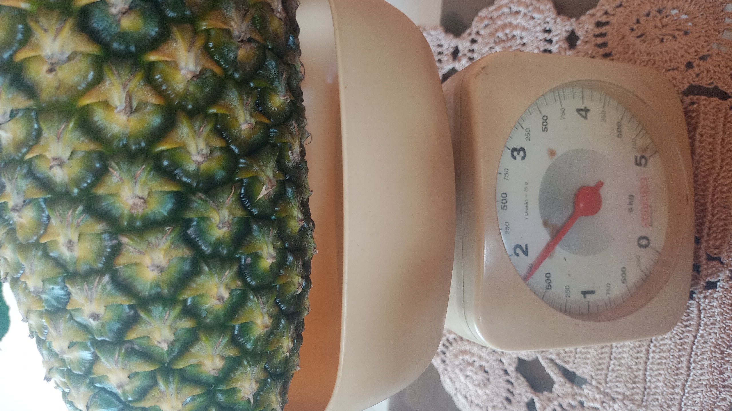 Produtora e Distribuidora de Abacaxi