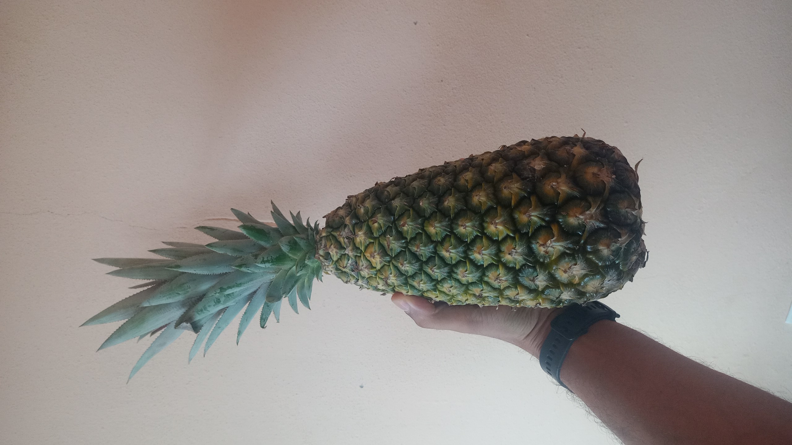 Produtora e Distribuidora de Abacaxi