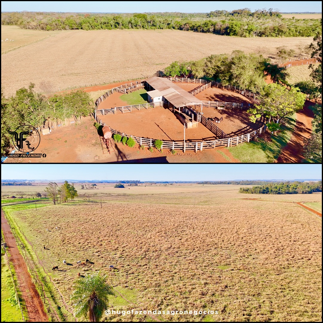 Fazenda a Venda | 175 hectares | Rio Brilhante/MS