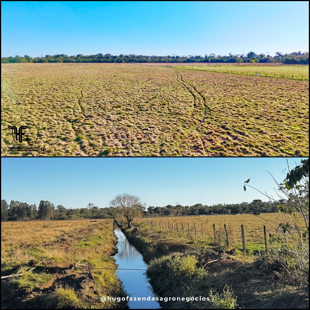 Fazenda a Venda | 175 hectares | Rio Brilhante/MS