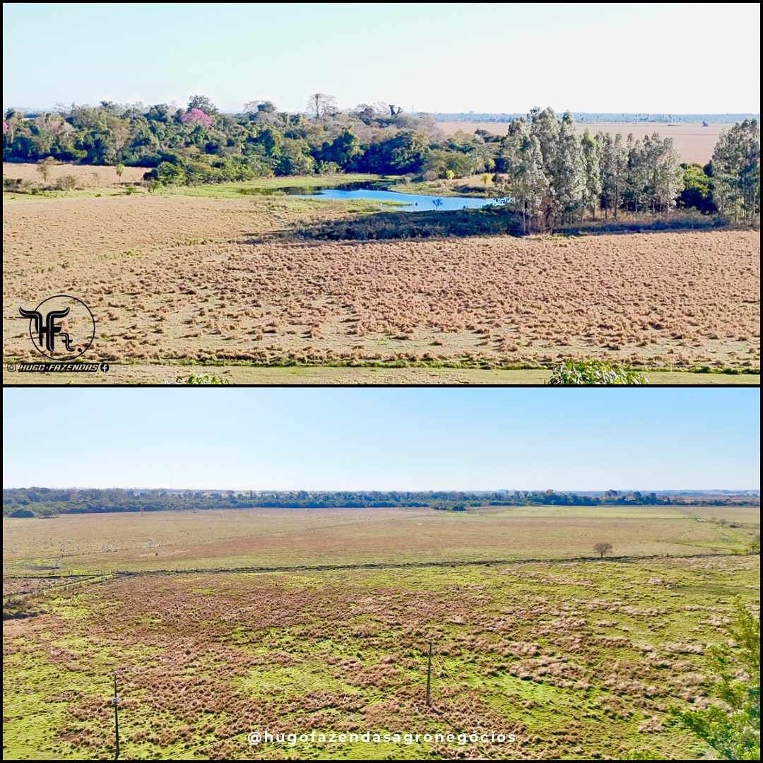 Fazenda a Venda | 175 hectares | Rio Brilhante/MS