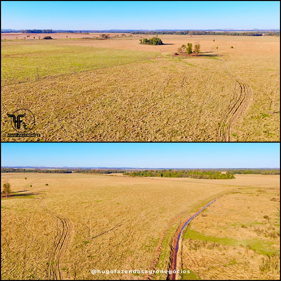 Fazenda a Venda | 175 hectares | Rio Brilhante/MS