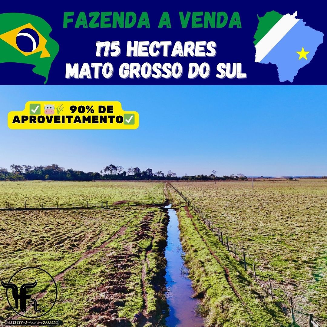 Fazenda a Venda | 175 hectares | Rio Brilhante/MS