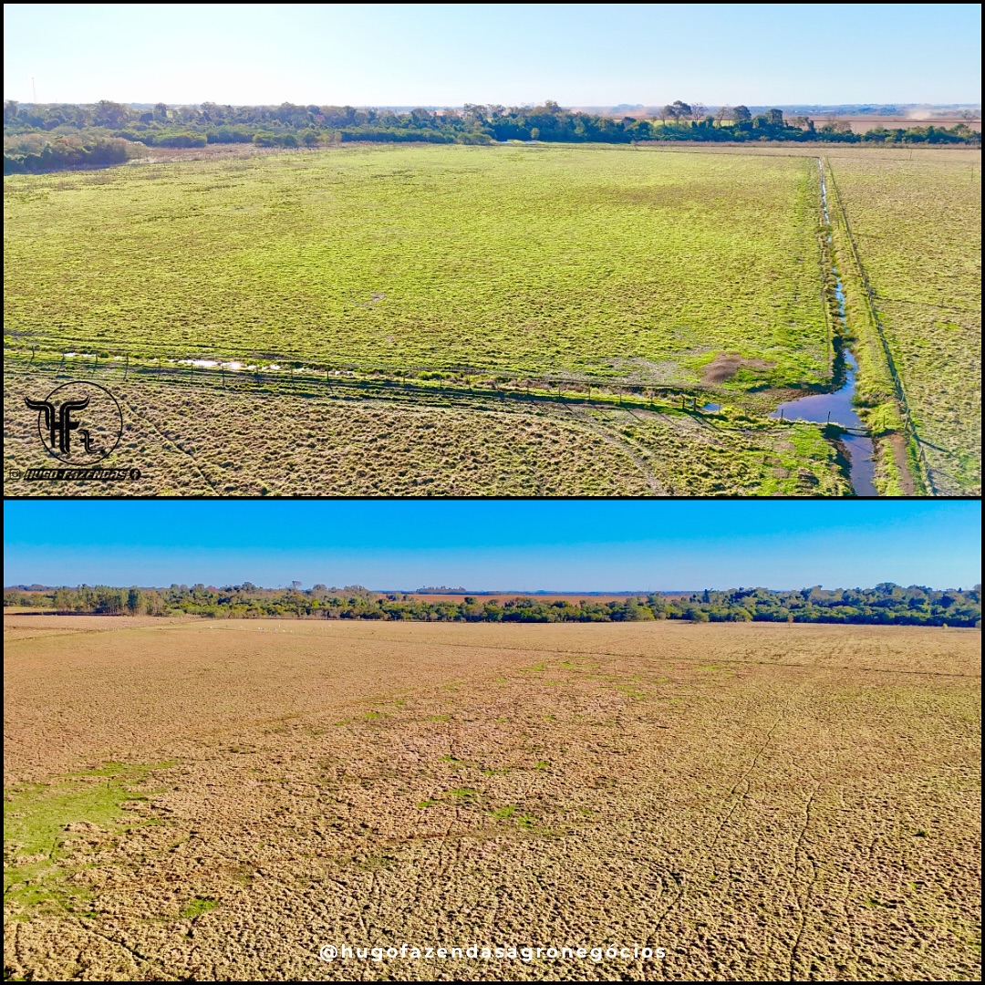 Fazenda a Venda | 175 hectares | Rio Brilhante/MS