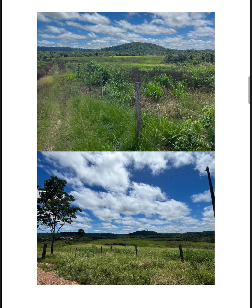 Fazenda Rio Grande + Vale do Uraim (-Área total: 6.595 hectares)