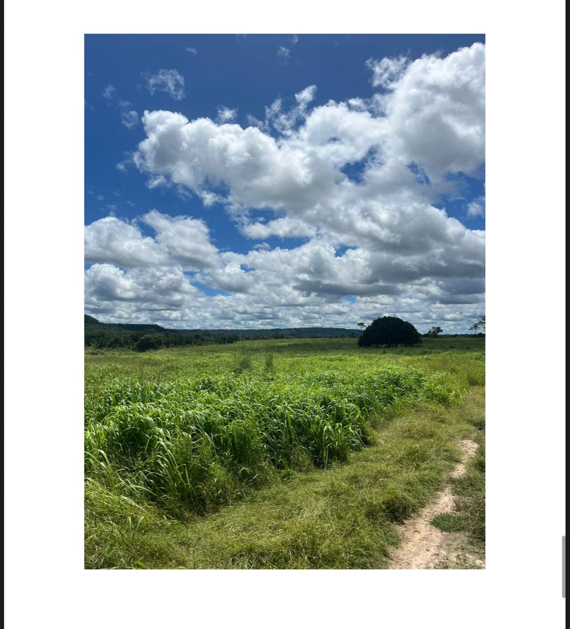Fazenda Rio Grande + Vale do Uraim (-Área total: 6.595 hectares)