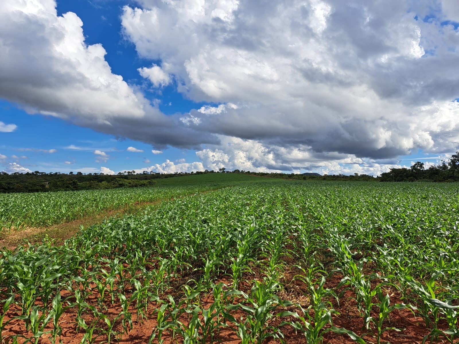 Excelente Fazenda a venda em Conceição do Mato Dentro MG