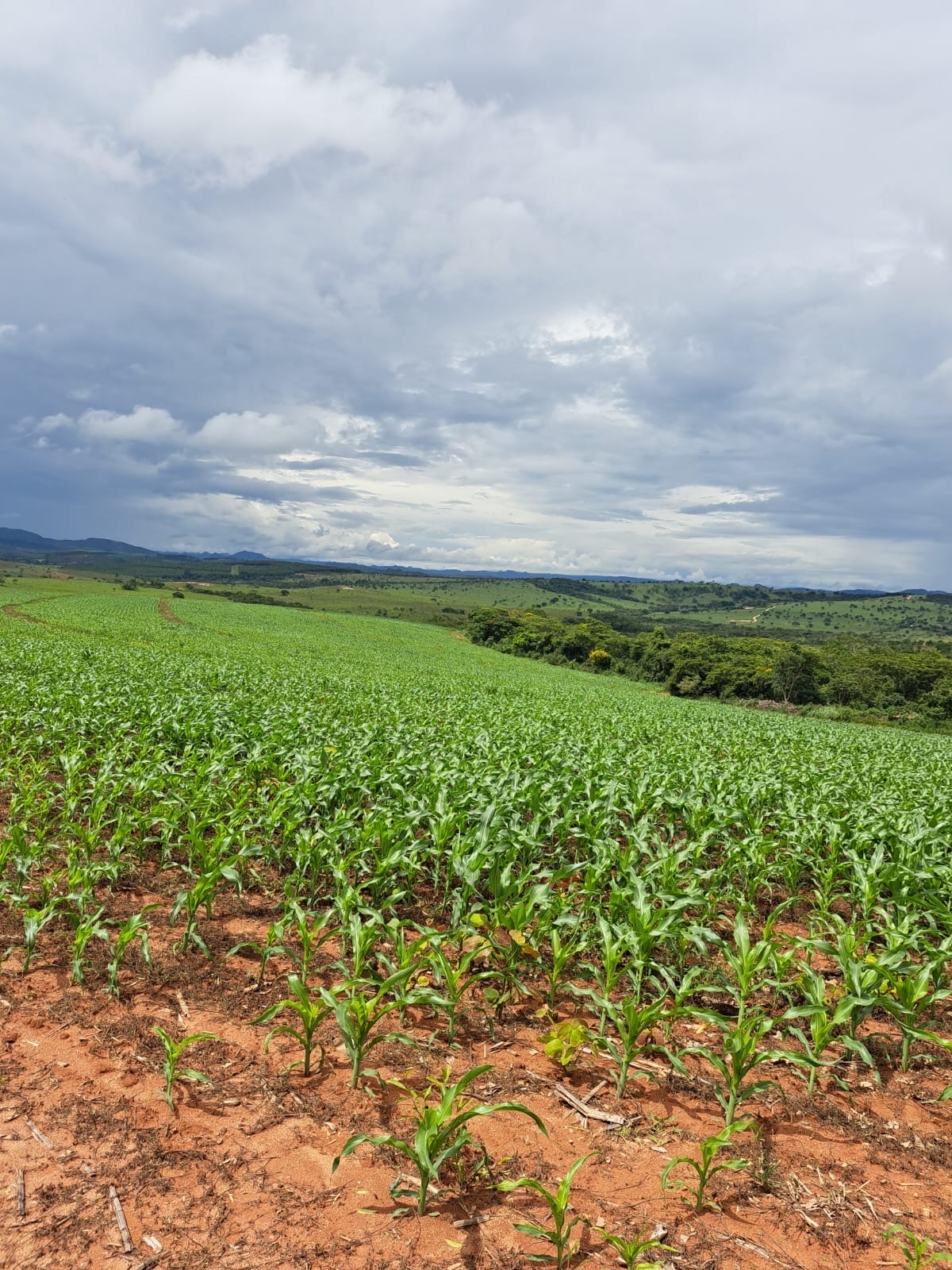 Excelente Fazenda a venda em Conceição do Mato Dentro MG