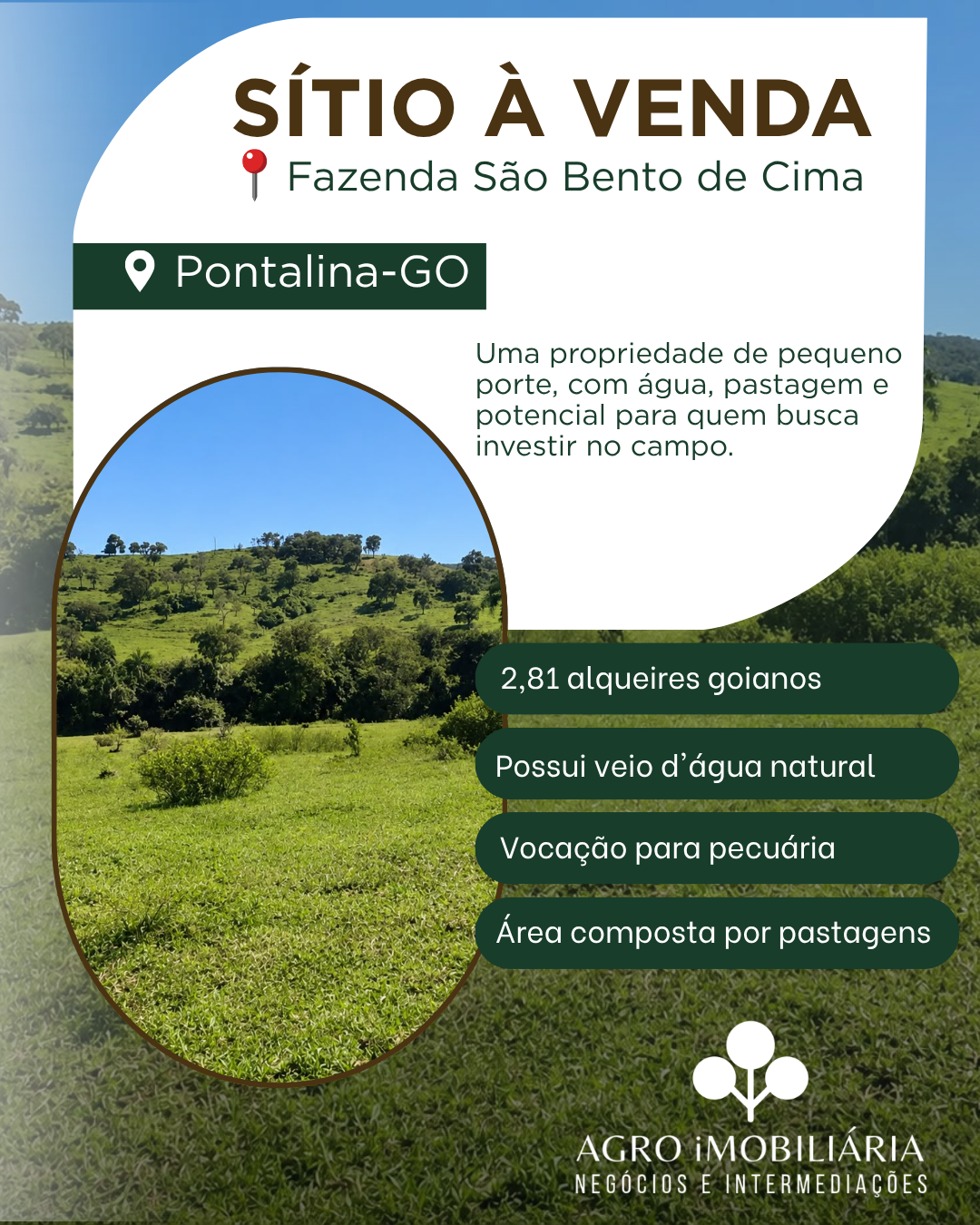 SÍTIO À VENDA EM PONTALINA - GO