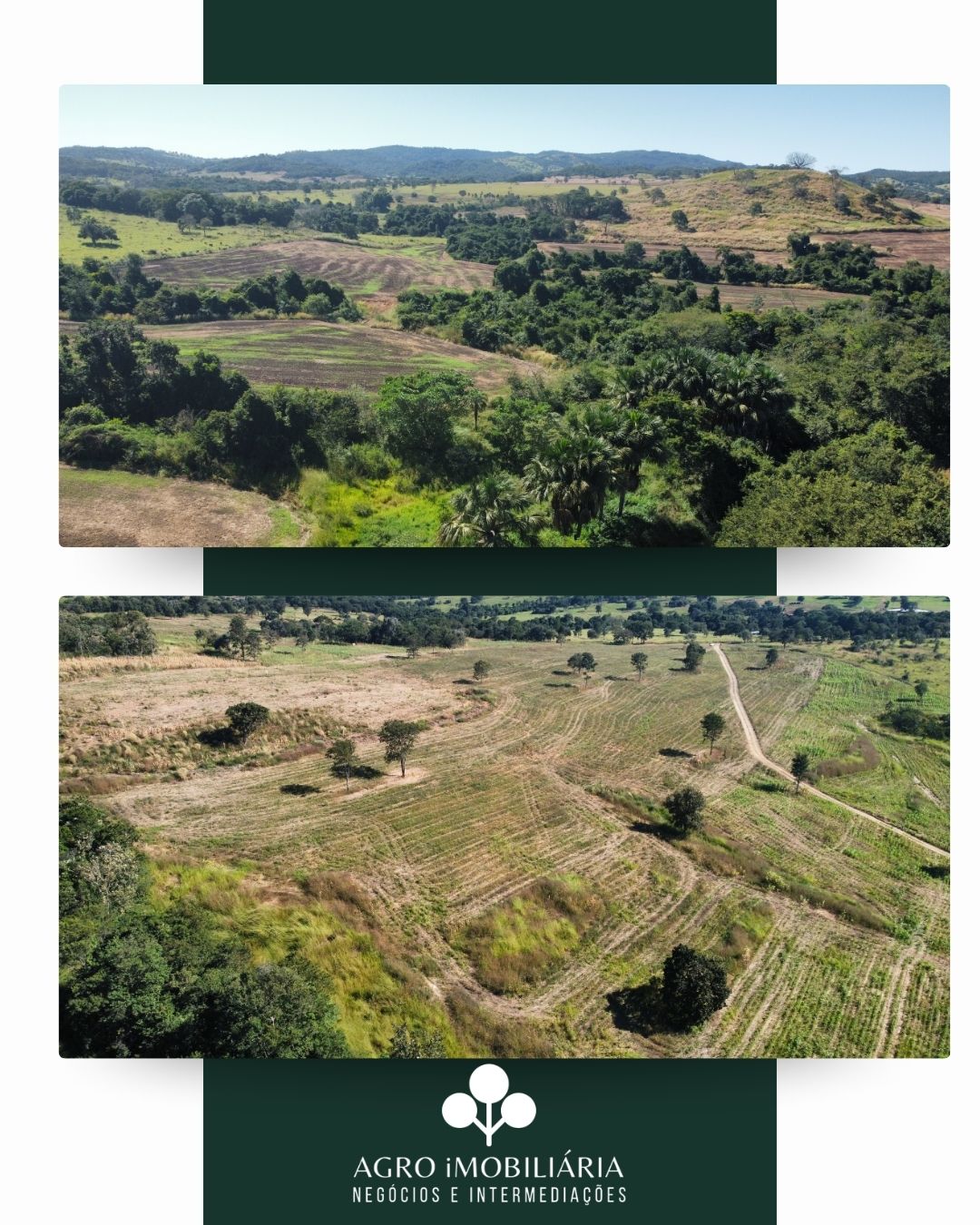 SÍTIO À VENDA EM PONTALINA - GO
