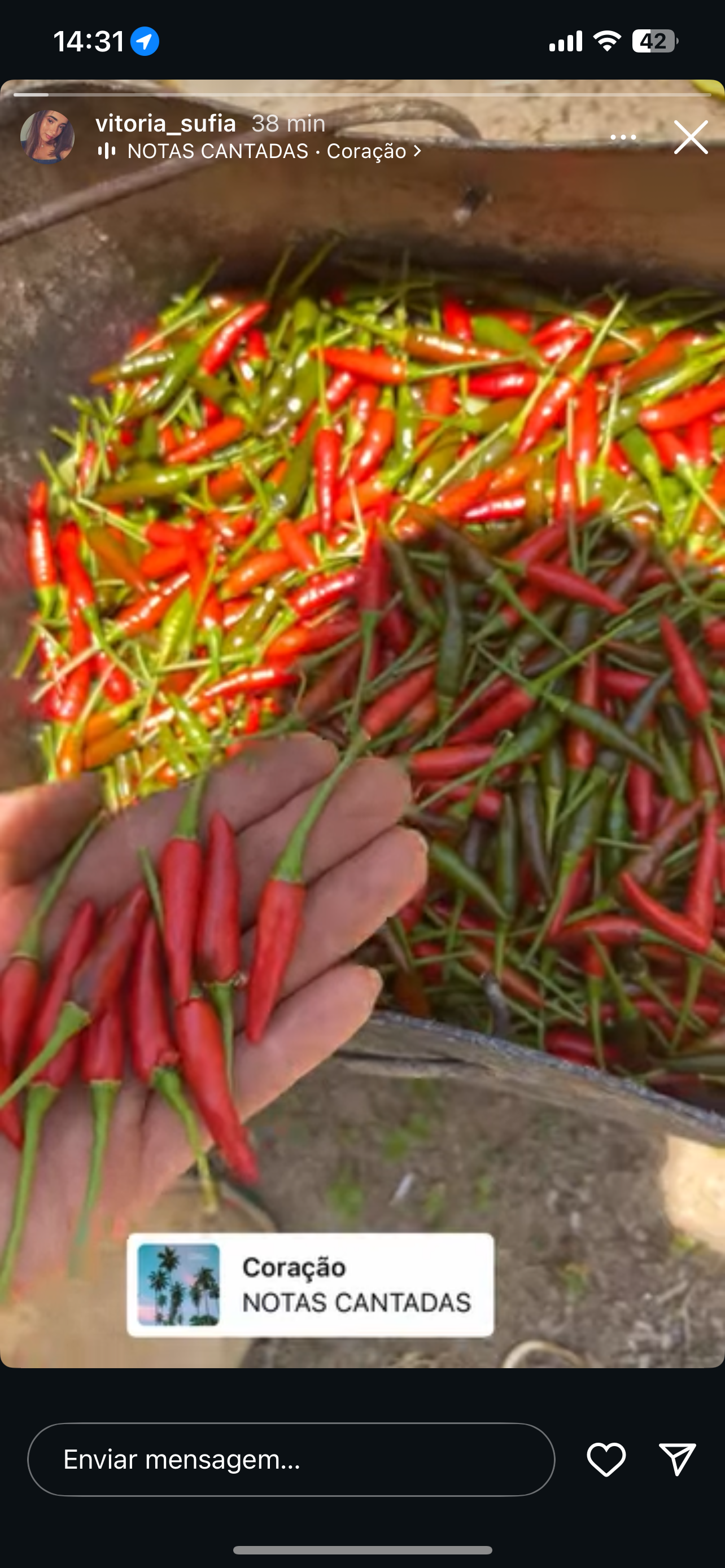Pimenta