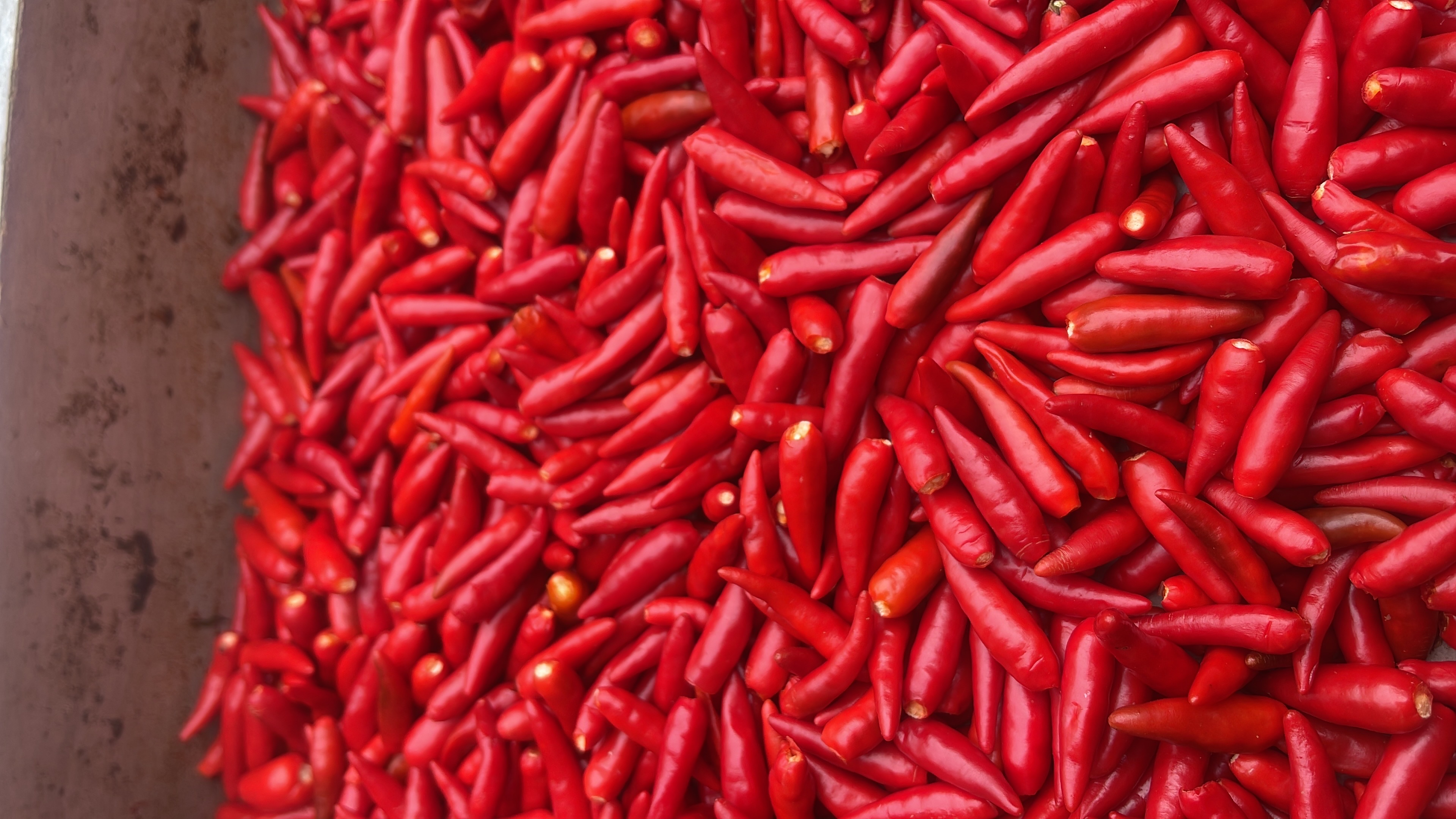 Pimenta