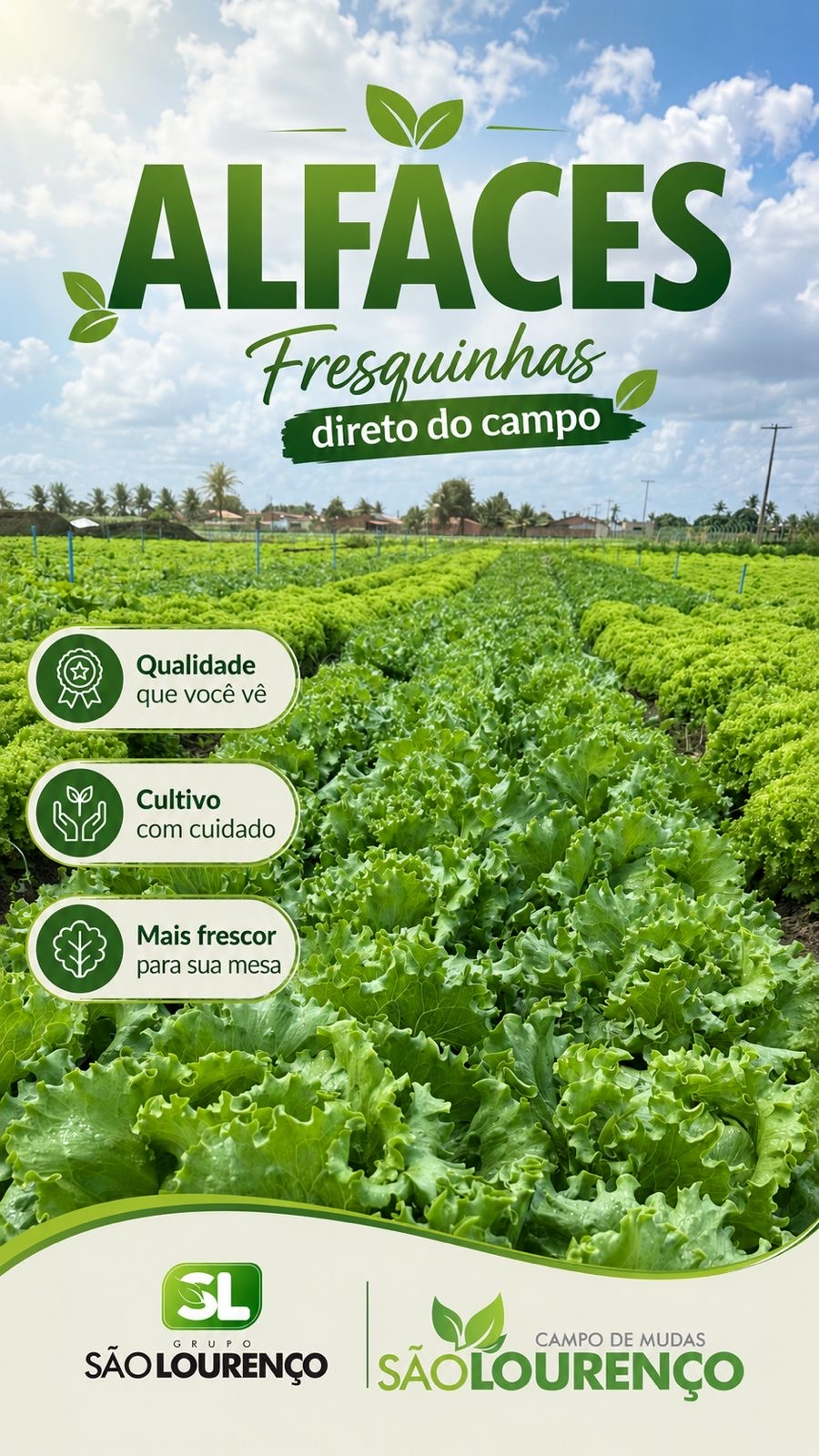Hortaliças
