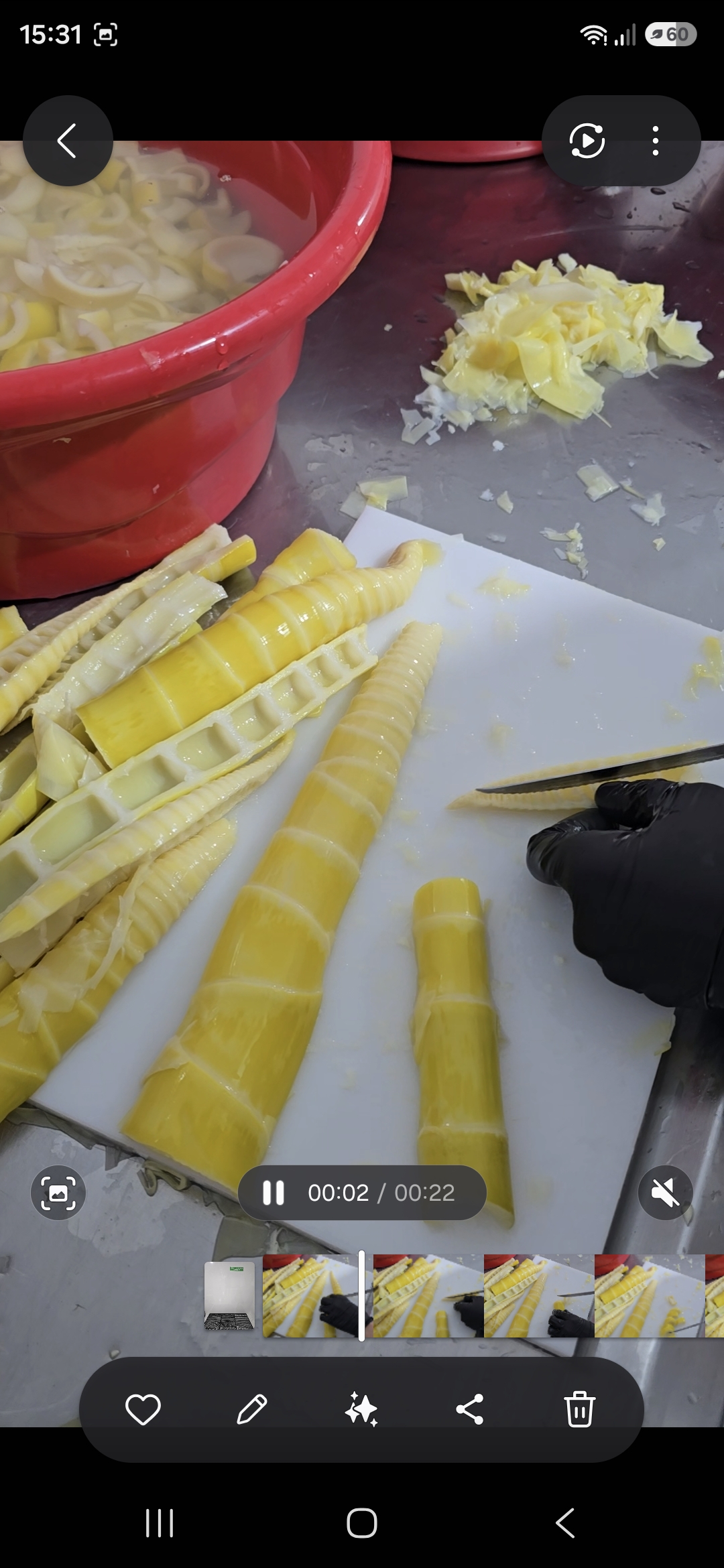 Conserva de Broto de Bambu 300g.