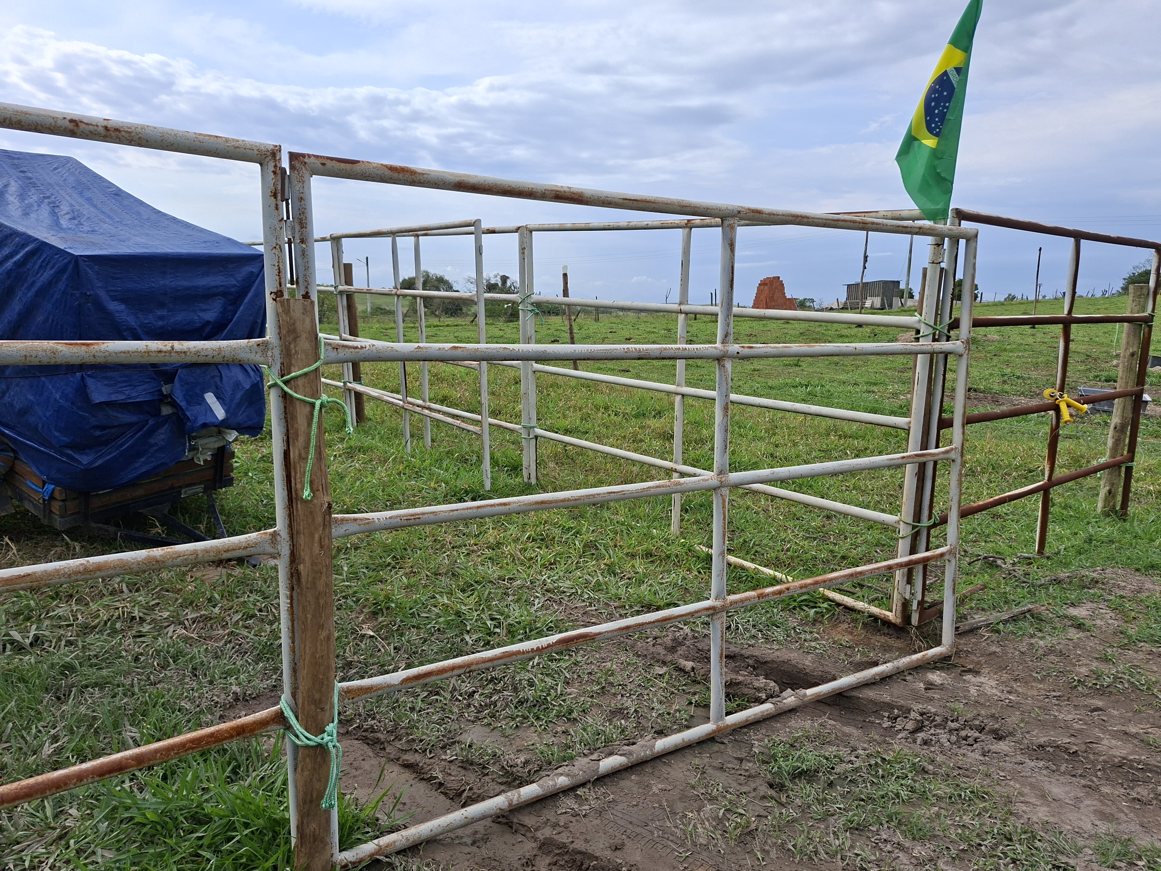 Vendo Curral Modular Móvel de Ferro - 18 grades 2 m x 3 m
