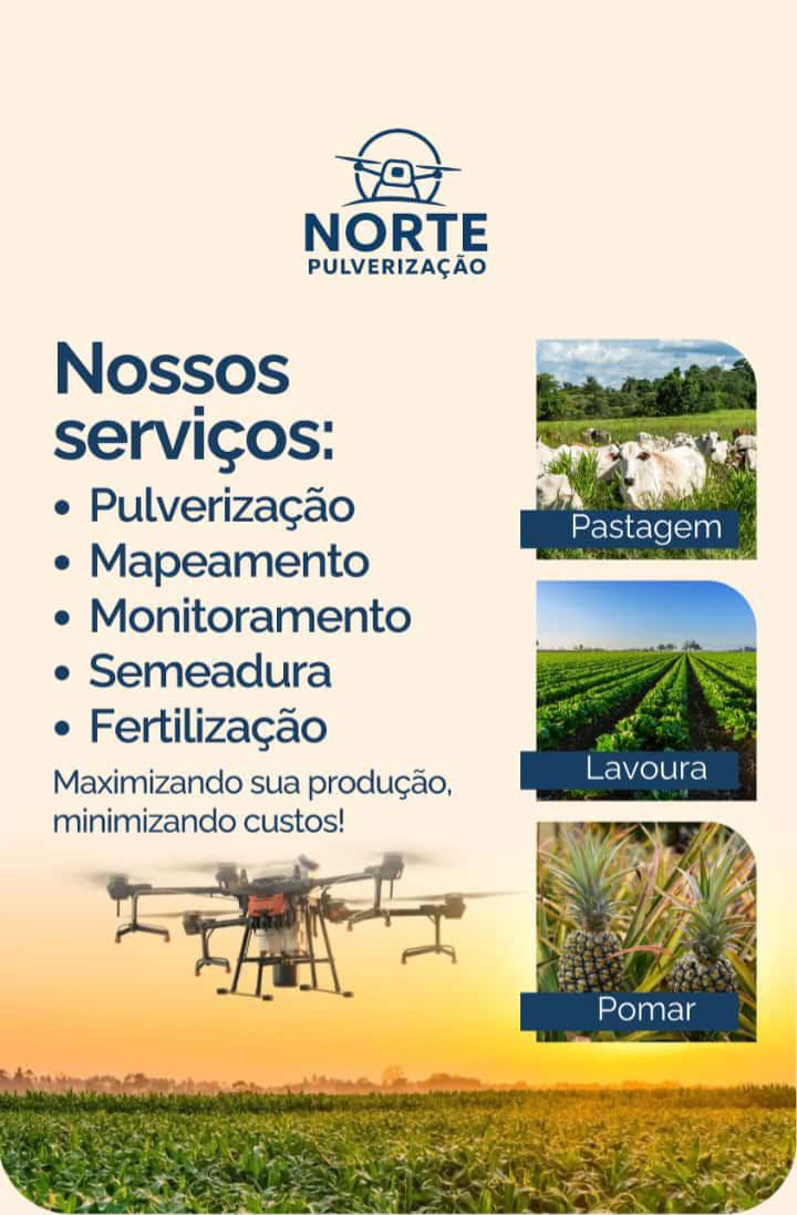 Servicos de Drone